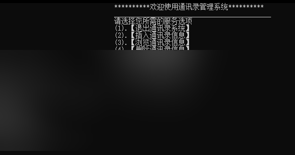 个人通讯录管理系统插入联系人运行截图