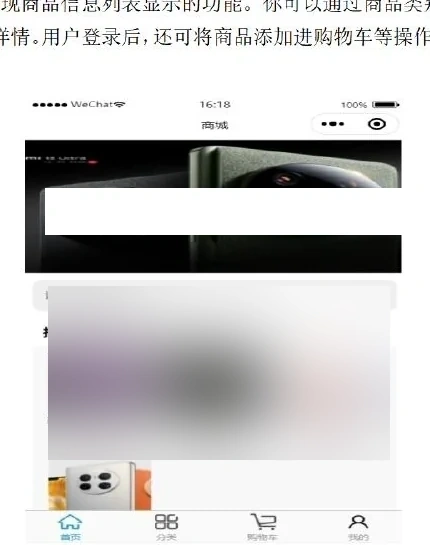 Sanitised 2024 Mobile Sales HOME evidence
